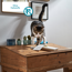 Katzensnack 'Knusper DENTINIS' 100 g