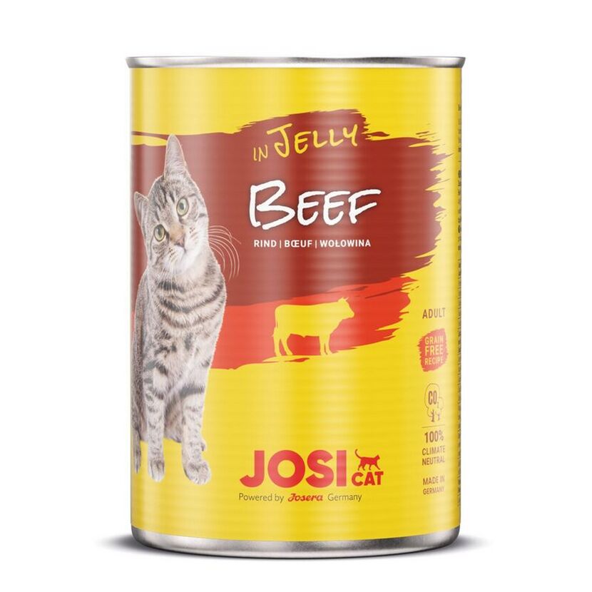 Katzenfutter Rind in Jelly 400 g