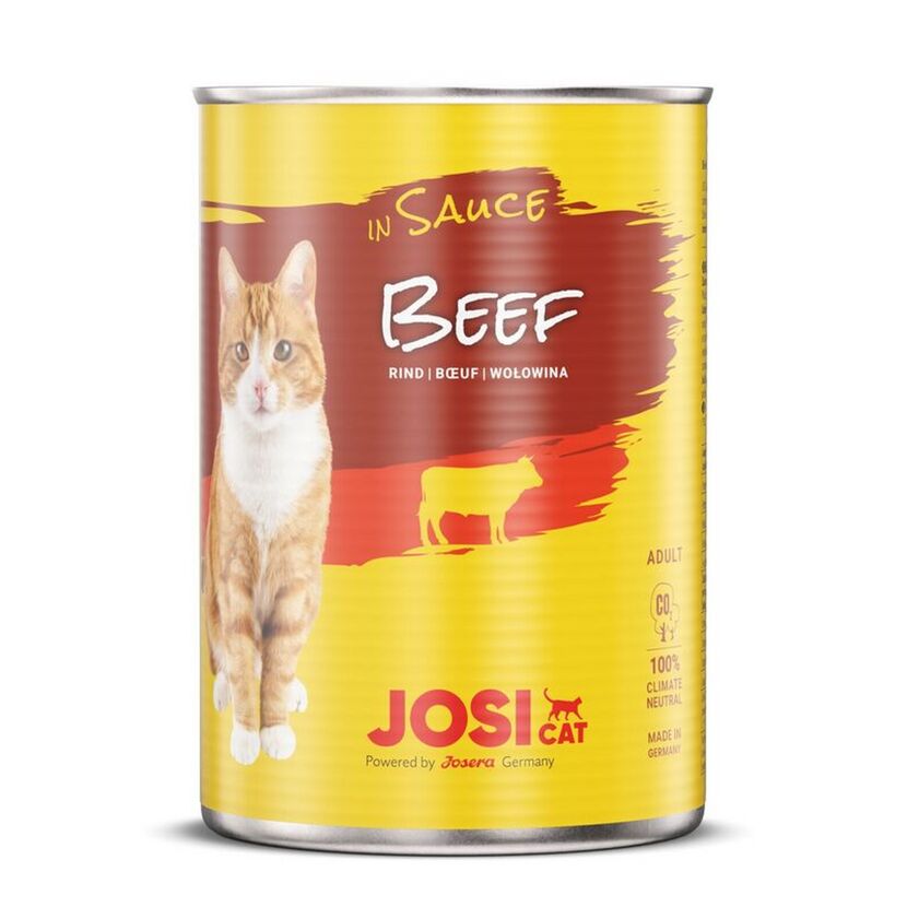 Katzenfutter Rind in Sauce 415 g