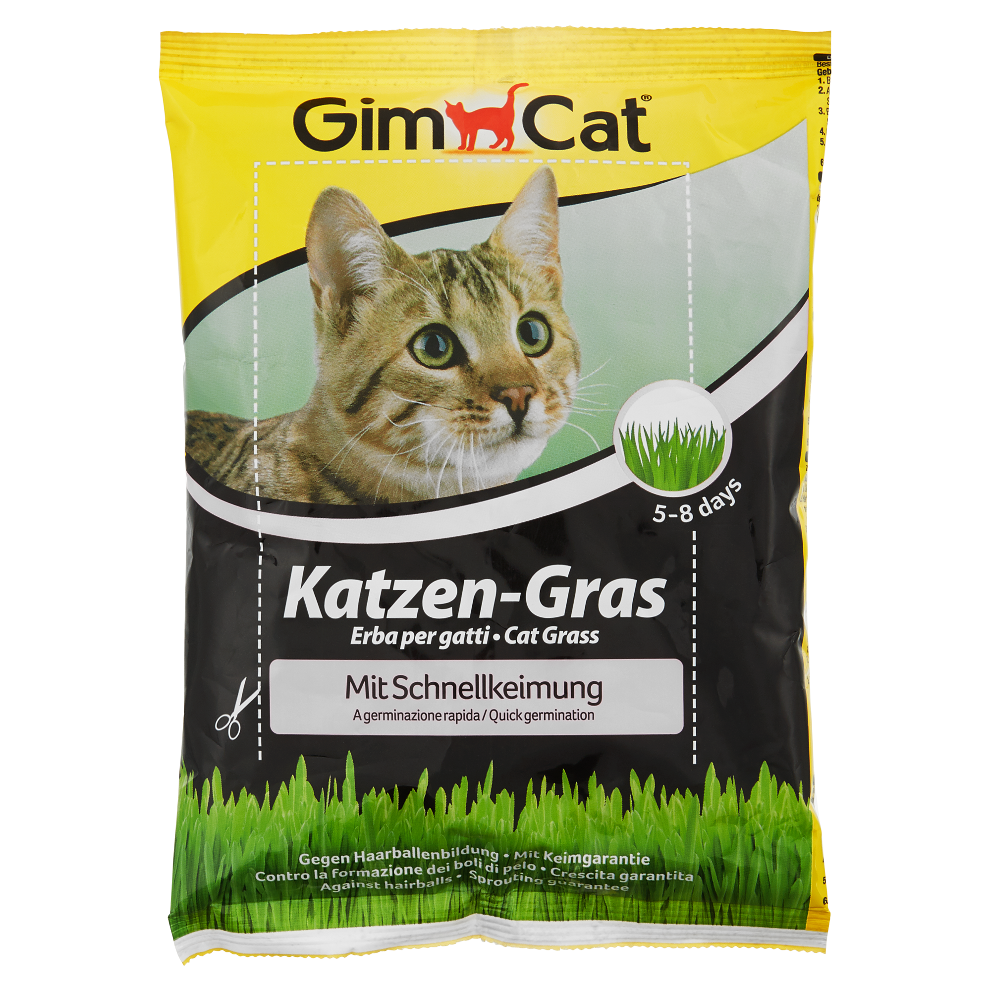 Katzengras-Samen 100 g + product picture