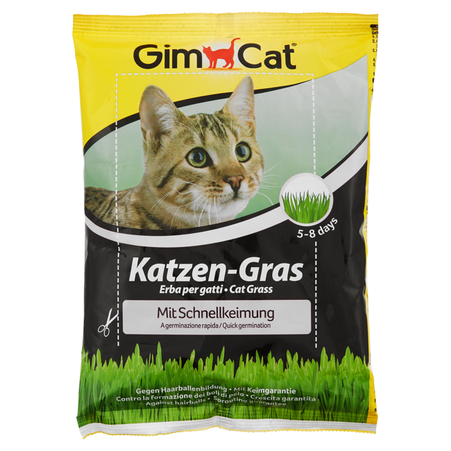 Bild von Katzengras-Samen 100 g