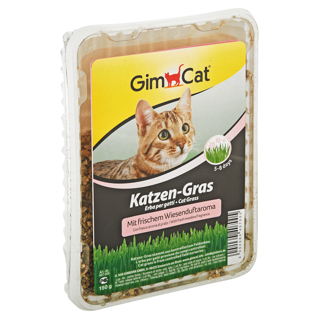 Bild von Katzengras Wiesenduft Schale 150 g