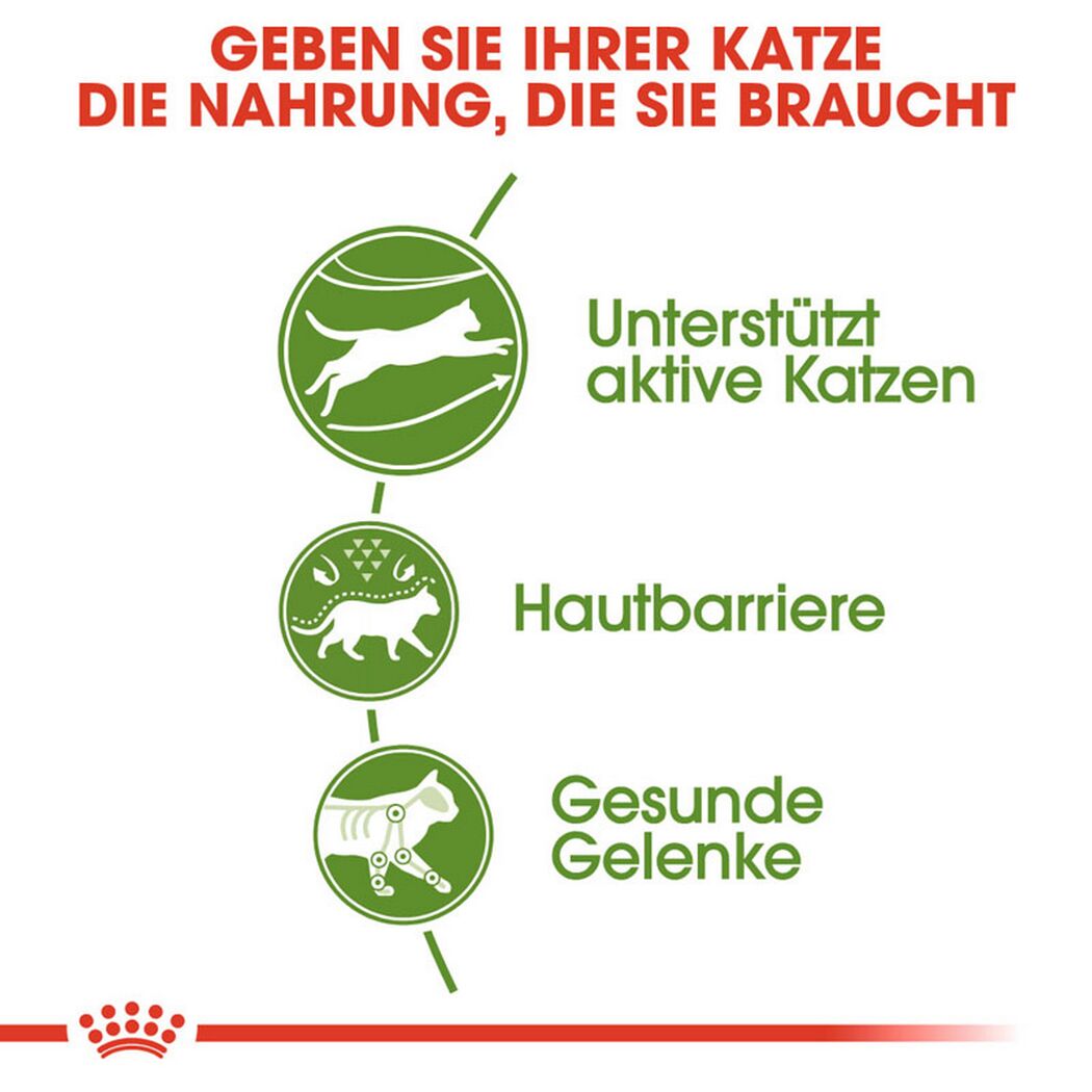 Katzentrockenfutter 'Outdoor Adult' 10 kg