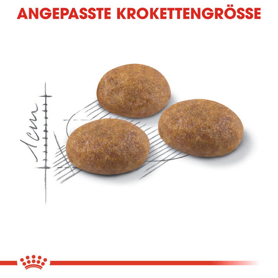 Katzentrockenfutter 'Outdoor Adult' 10 kg