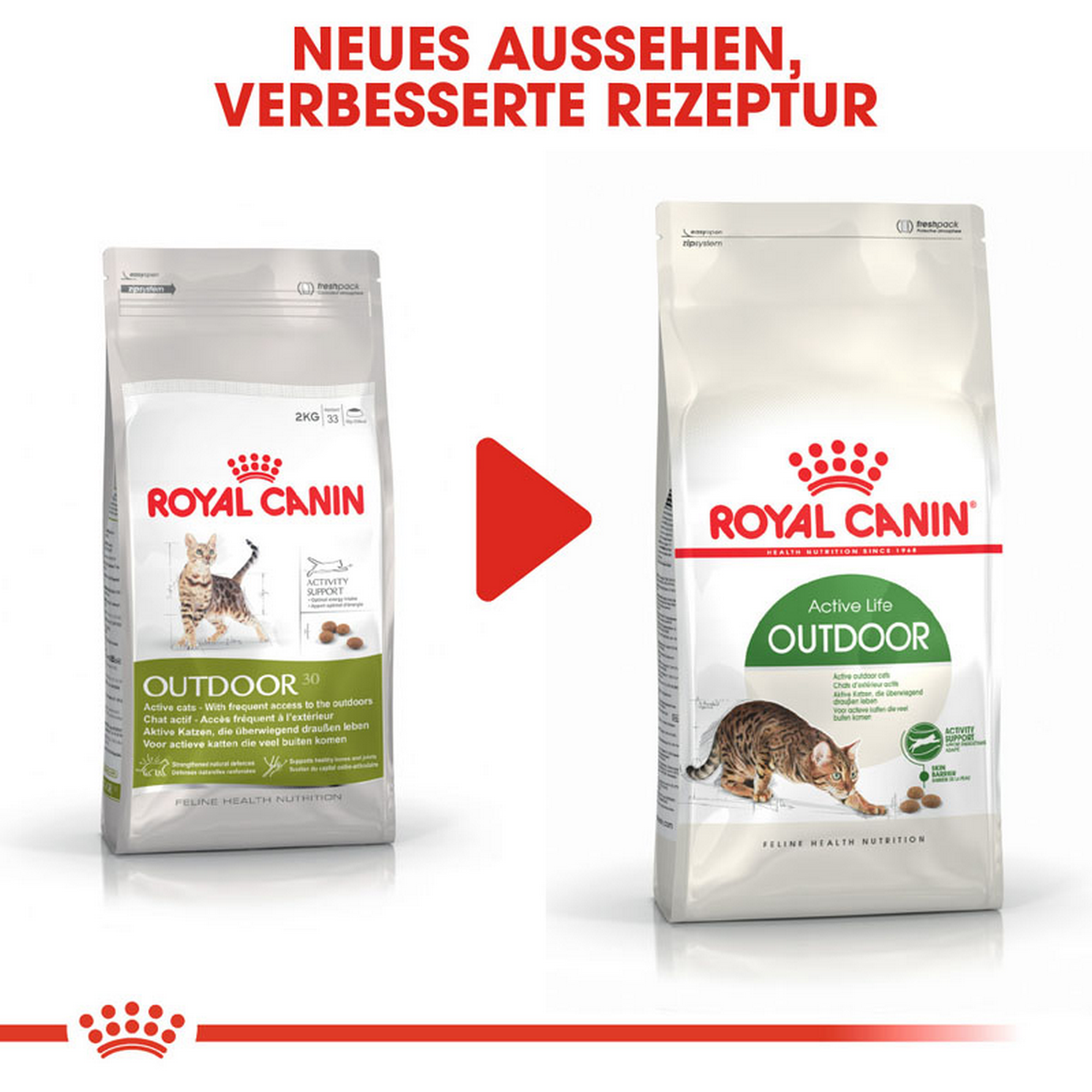 Katzentrockenfutter 'Outdoor Adult' 10 kg