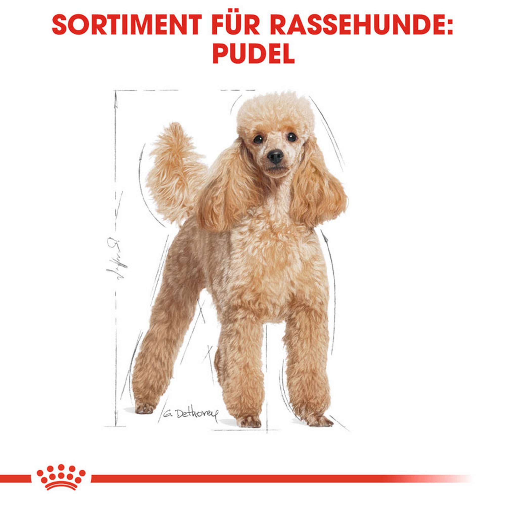 Hundetrockenfutter 'Poodle Adult ' 1,5 kg