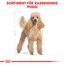 Hundetrockenfutter 'Poodle Adult ' 1,5 kg
