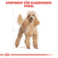 Hundetrockenfutter 'Poodle Adult ' 1,5 kg