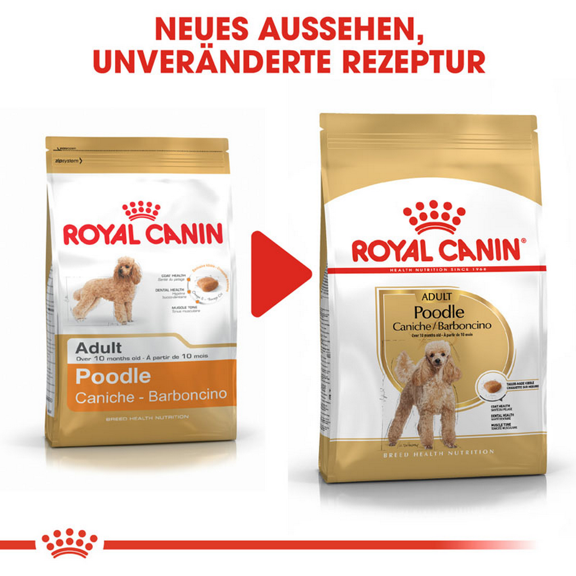 Hundetrockenfutter 'Poodle Adult ' 1,5 kg
