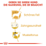 Hundetrockenfutter 'Poodle Adult ' 1,5 kg