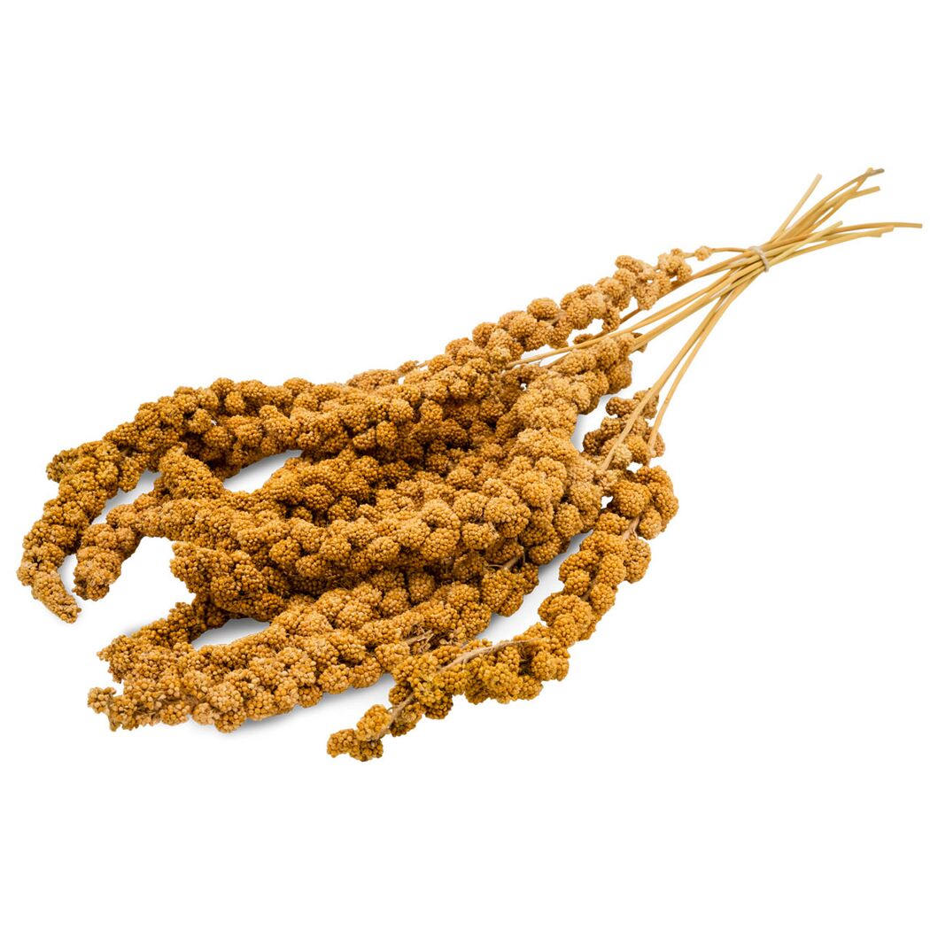 Vogelsnack 'Birds Kolbenhirse gelb' 250 g
