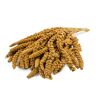 Vogelsnack 'Birds Kolbenhirse gelb' 1 kg
