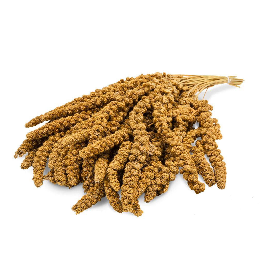 Vogelsnack 'Birds Kolbenhirse gelb' 1 kg