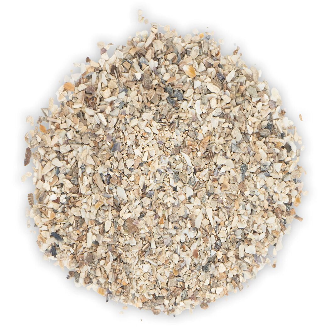 Vogelsnack 'Birds Austerngrit Wellensittich & Kanarien' 30 g