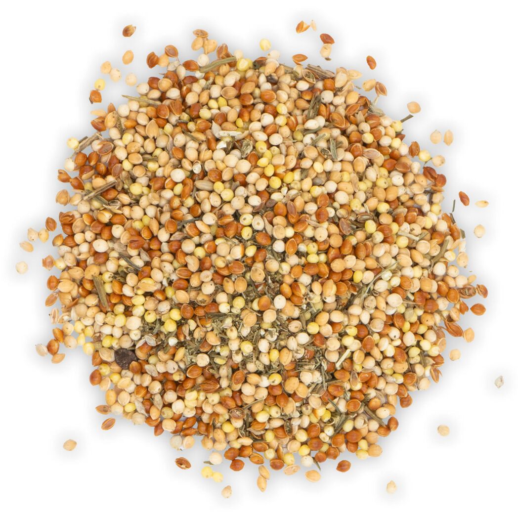 Vogelsnack 'Birds Mauserhilfe Wellensittich & Kanarien' 30 g