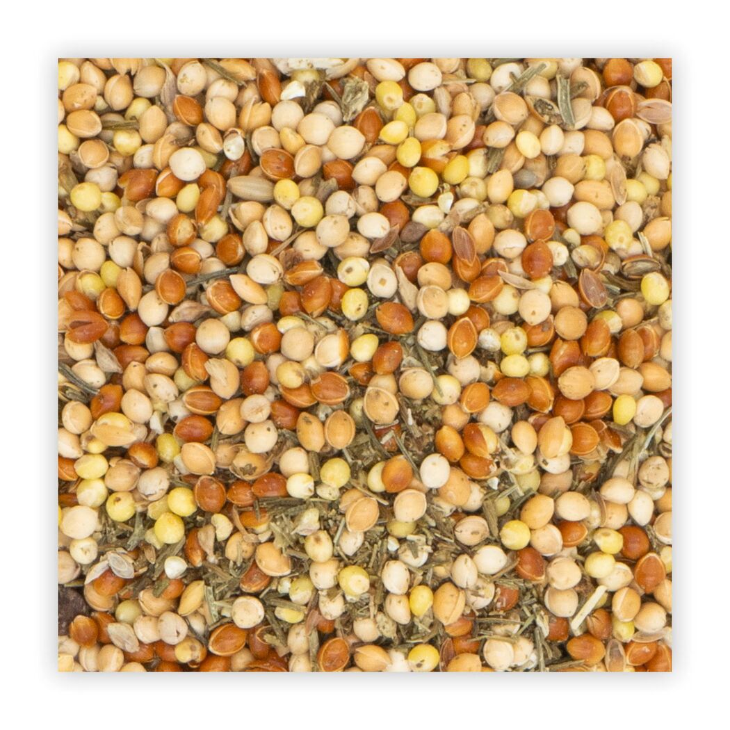 Vogelsnack 'Birds Mauserhilfe Wellensittich & Kanarien' 30 g