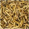 Vogelsnack 'Birds Mehlwürmer' 25 g