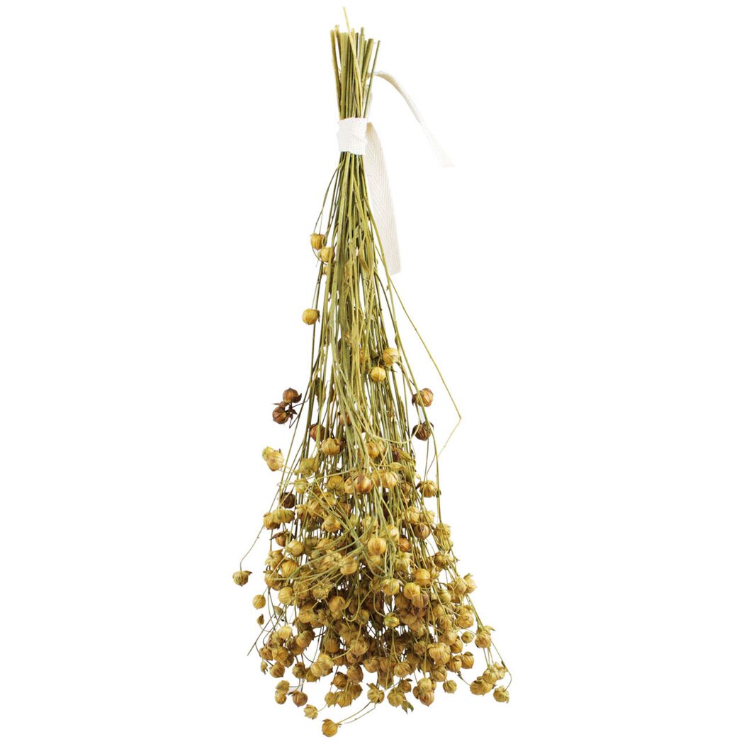 Vogelsnack 'Birds Leinsaat Flachs' 30 g