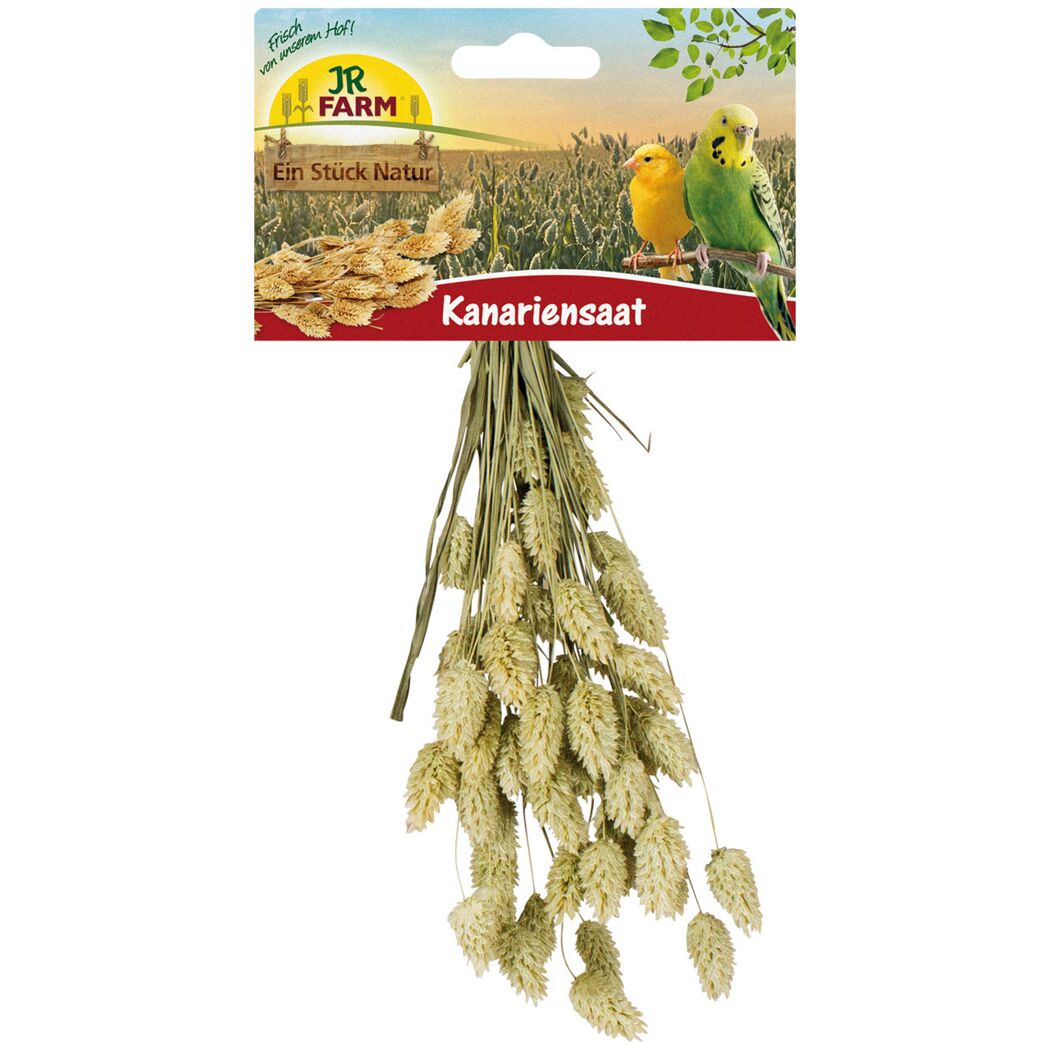 Vogelsnack 'Birds Kanariensaat' 20 g