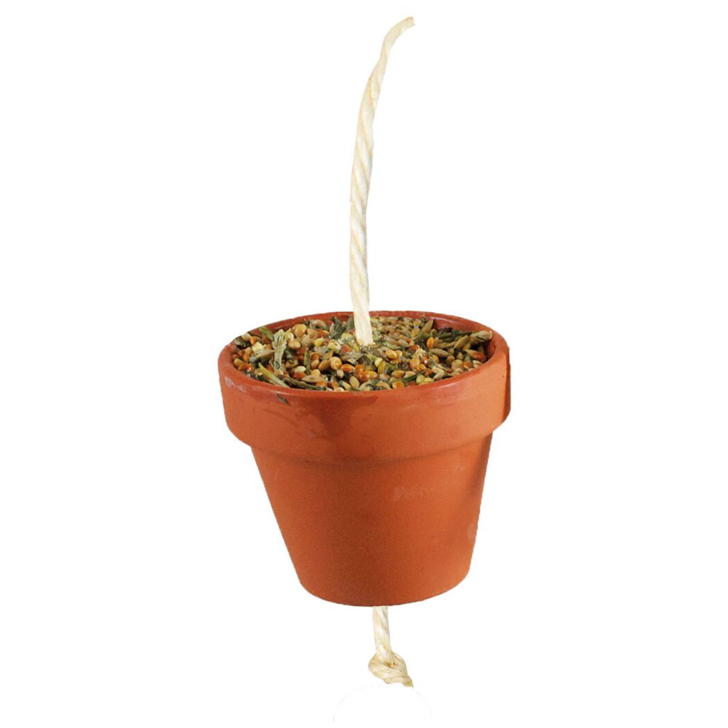 Vogelsnack 'Birds Tontöpfchen Wellensittich & Kanarien' 80 g
