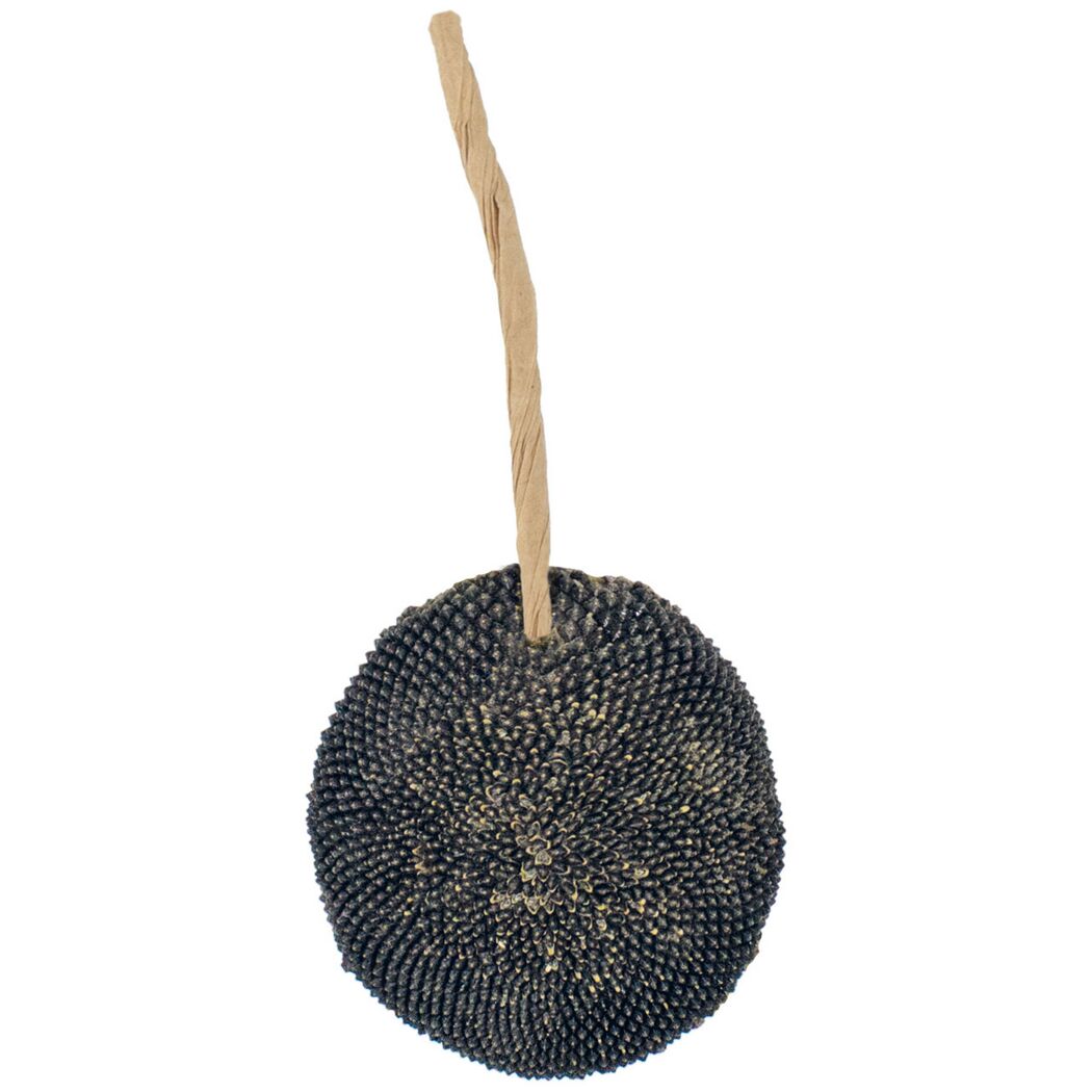 Vogelsnack 'Birds Sonnenblume' 30 g