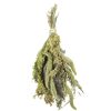 Vogelsnack 'Birds Hirsen-Potpourri' 50 g