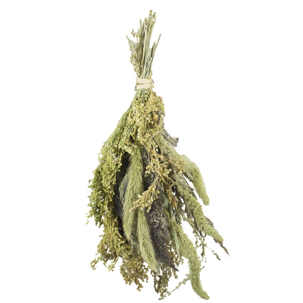 Vogelsnack 'Birds Hirsen-Potpourri' 50 g