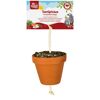 Vogelsnack 'Birds Tontöpfchen Großsittich & Papagei' 260 g