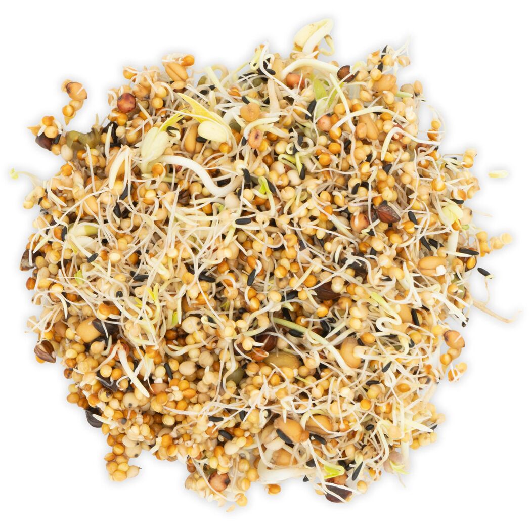 Vogelsnack 'Birds Keimfutter Wellensittich & Kanarien' 1 kg