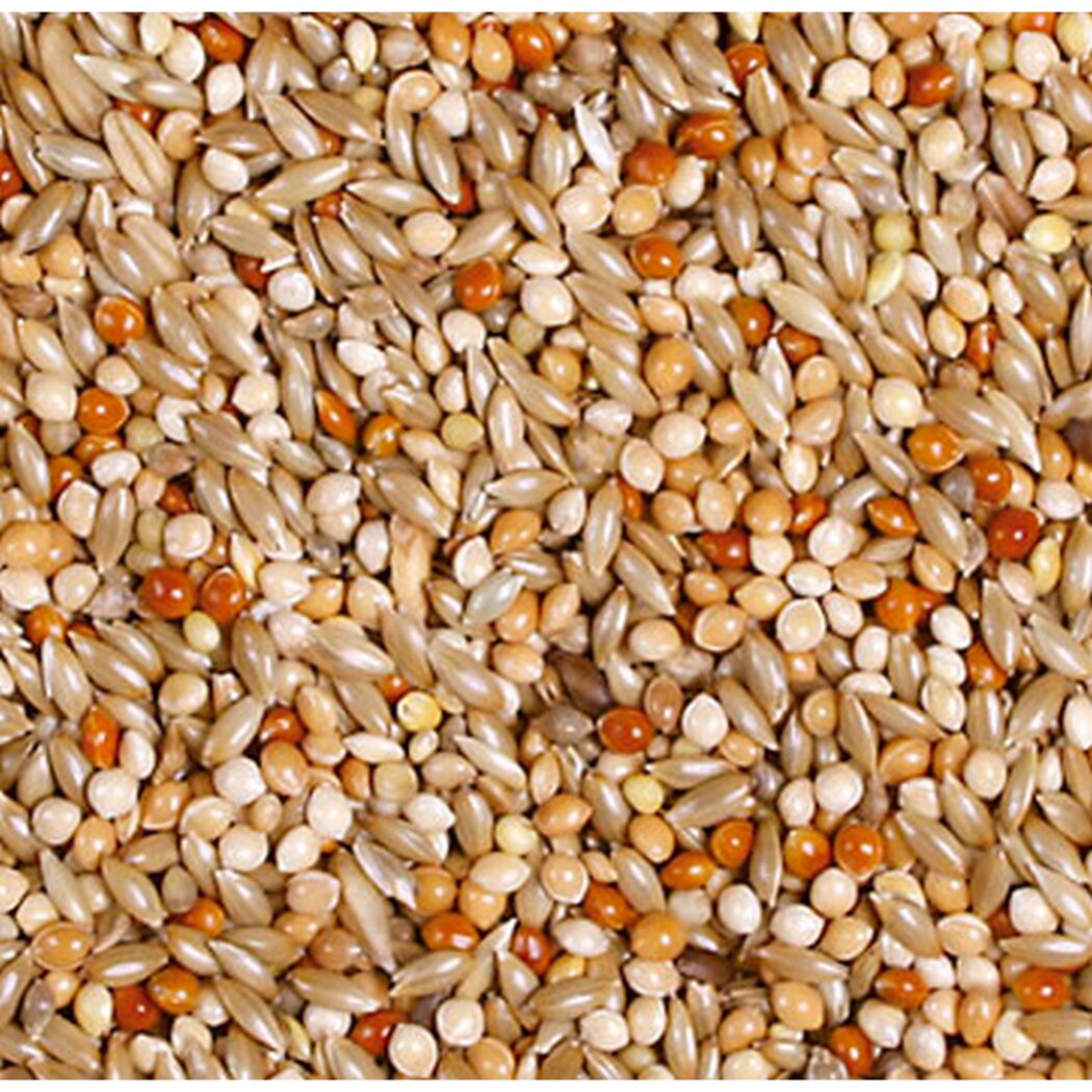 Vogelfutter 'Birds Wellensittich-Schmaus' 1 kg