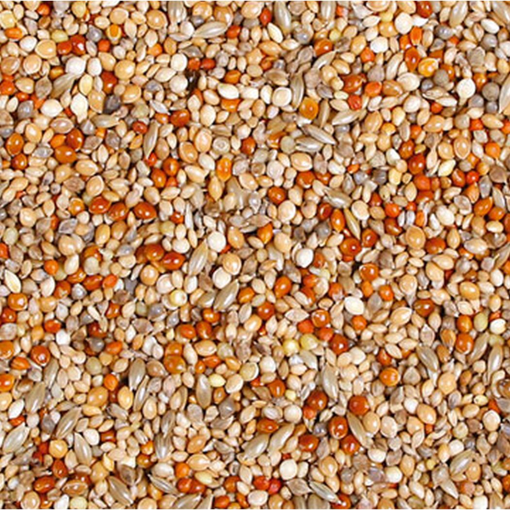 Vogelfutter 'Birds Exoten-Schmaus' 1 kg