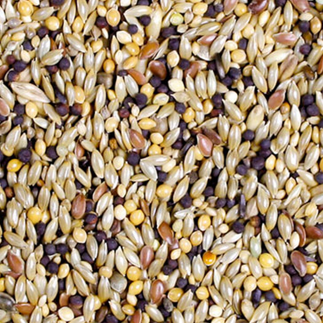 Vogelfutter 'Birds Kanarien-Schmaus' 1 kg