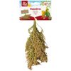 Vogelsnack 'Birds Rispenhirse' 100 g