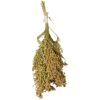 Vogelsnack 'Birds Rispenhirse' 100 g