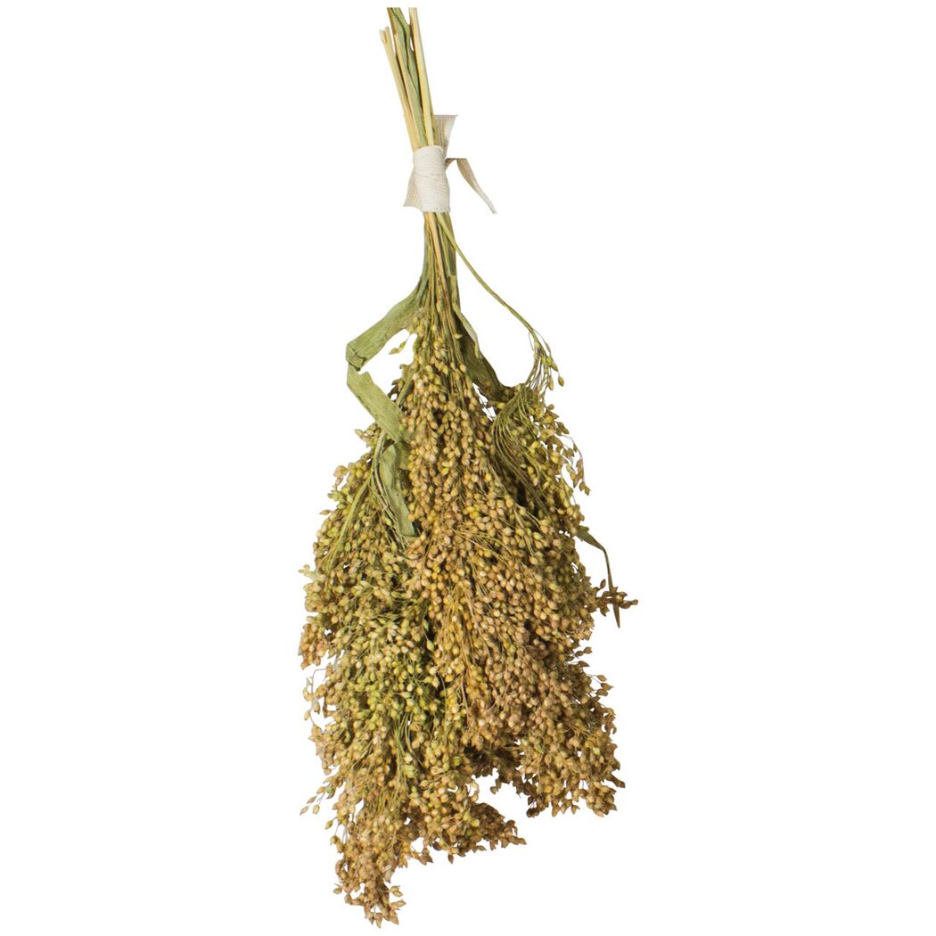 Vogelsnack 'Birds Rispenhirse' 100 g