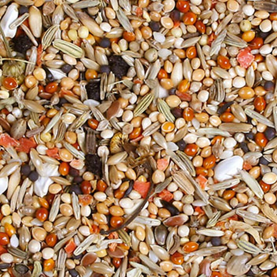 Vogelfutter 'Birds Individual Nymphensittich' 1 kg