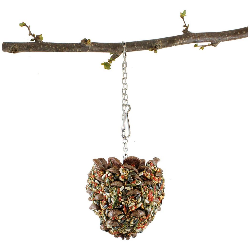 Vogelsnack 'Birds Schlemmer-Zapfen Großs. & Papagei' 195 g
