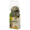 hauptbild