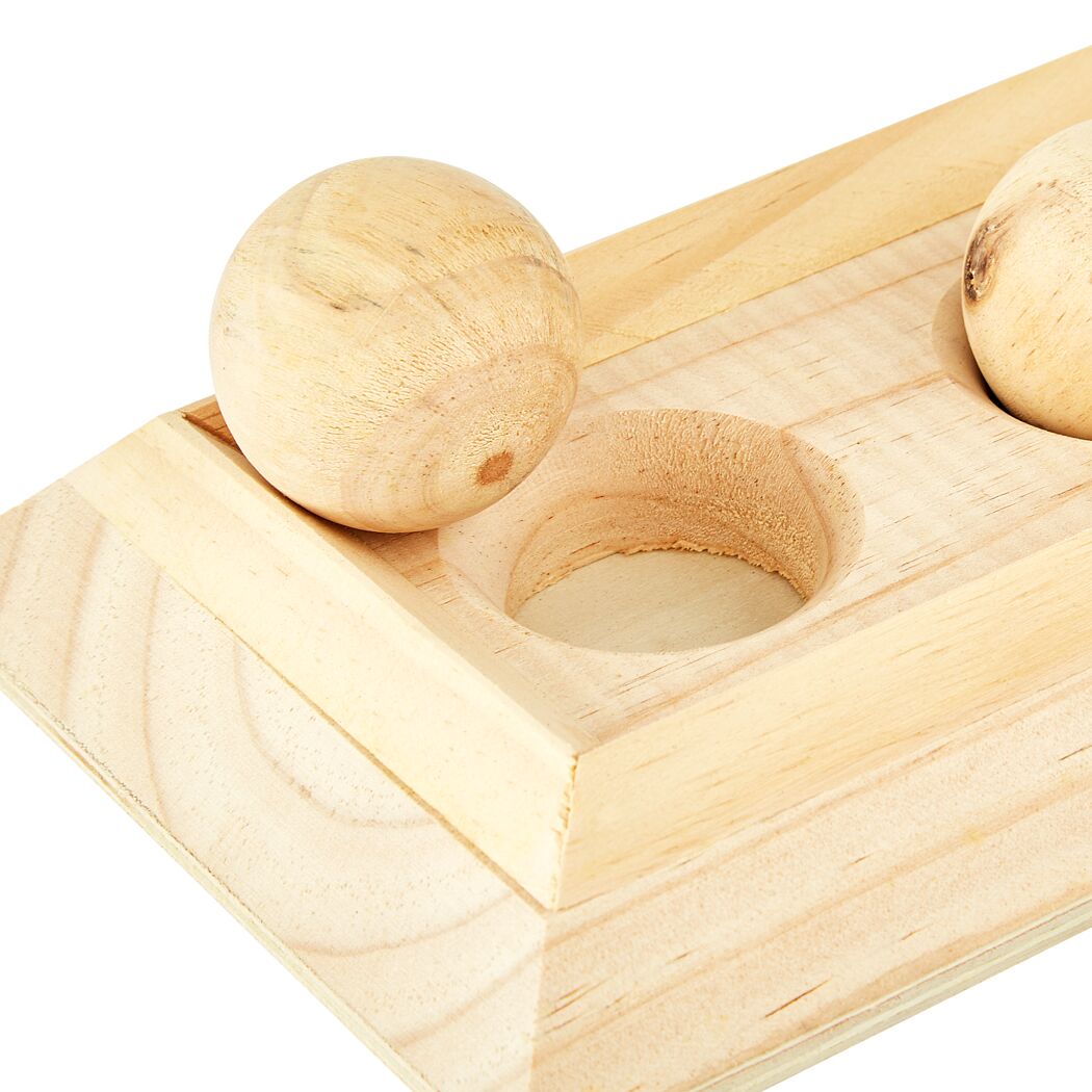 Hunde-Intelligenzspielzeug aus Holz