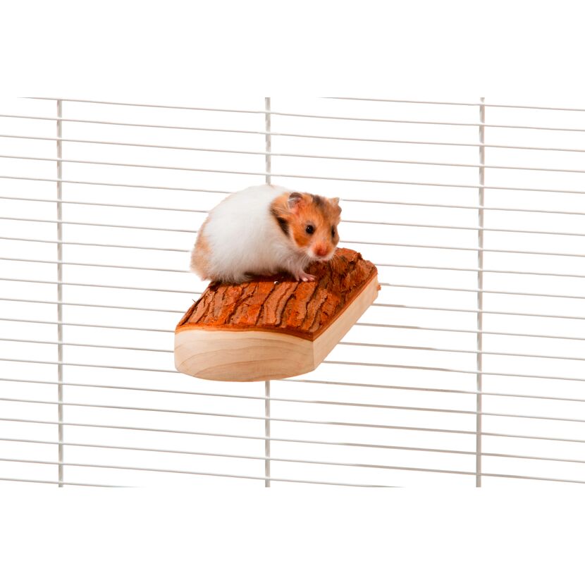 Hamster auf einem Spielzeug im Käfig