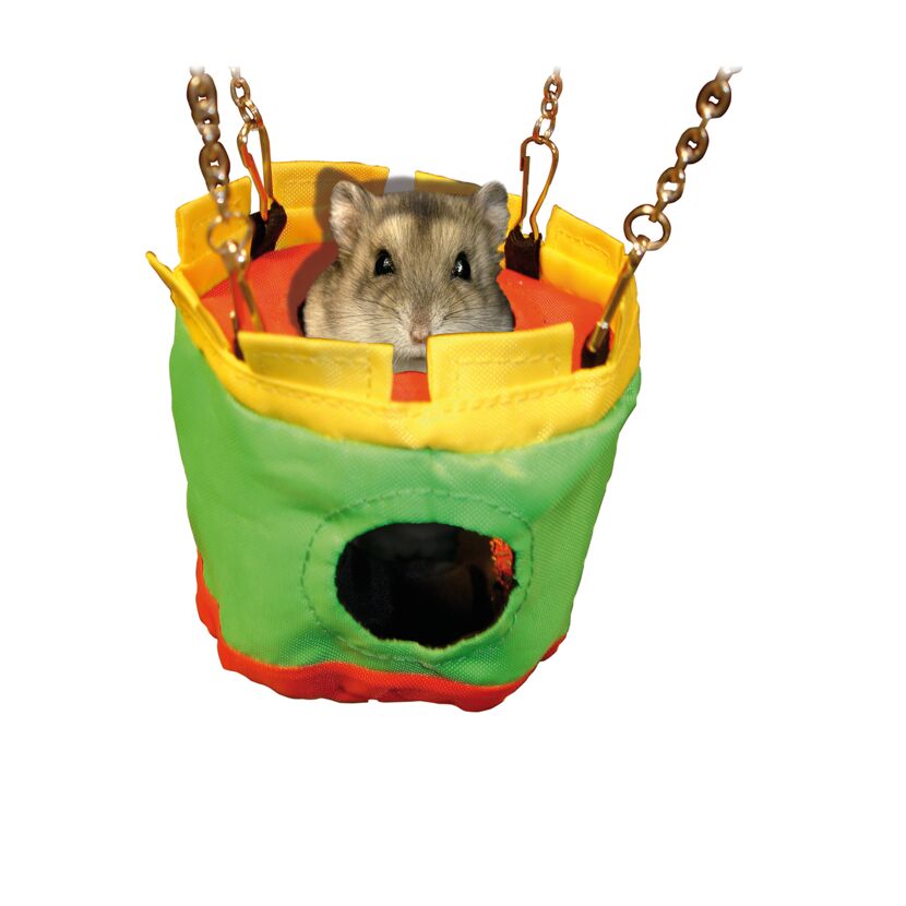 Hamster im bunten Hamsterhaus