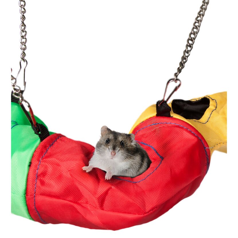 Hamster in einem bunten Hängetunnel