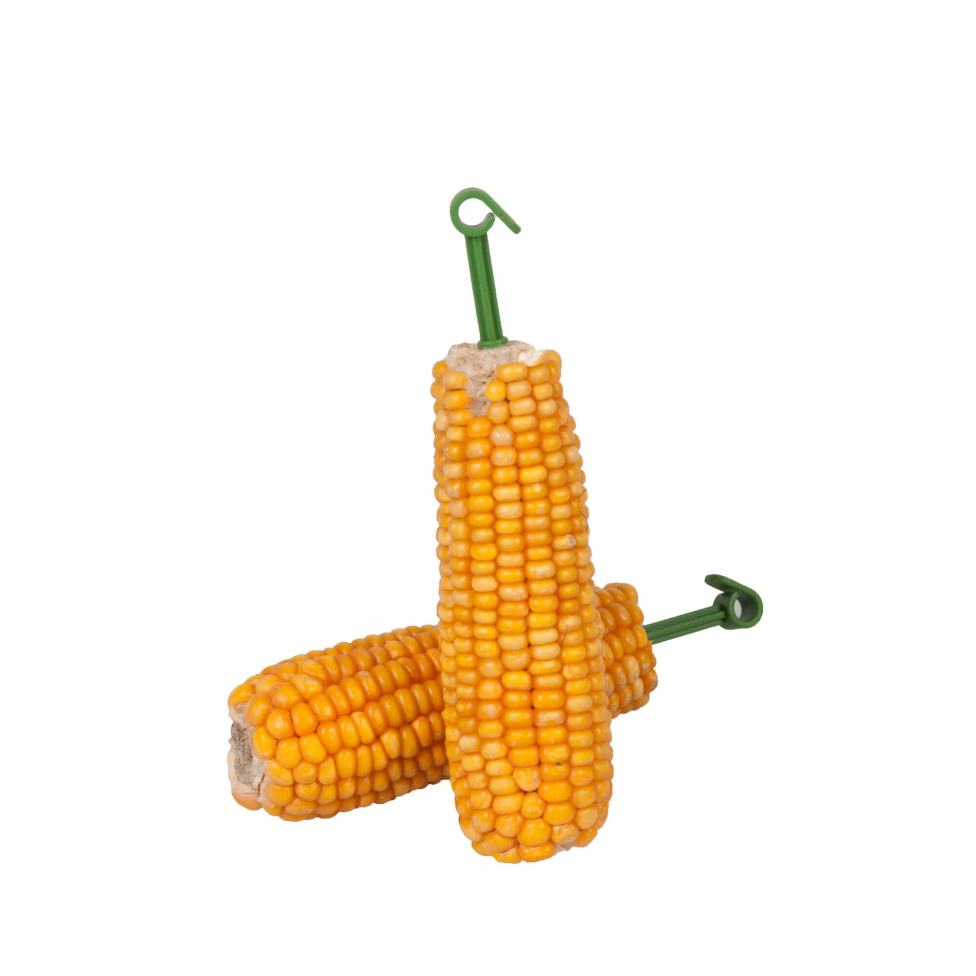Zwei Maiskolben mit Haltern