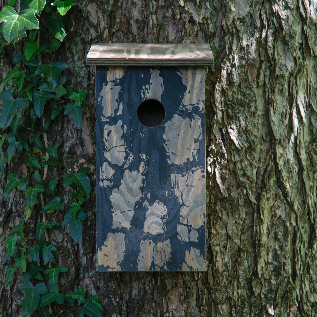 Hölzerner Nistkasten am Baumstamm mit Efeu.