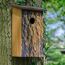 Nistkasten Holz rot 15,5 x 30 x 14,5 cm