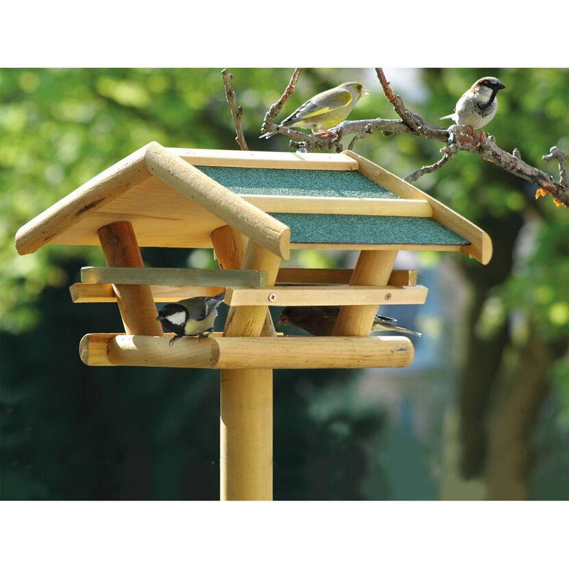 Vögel an einem Vogelhaus
