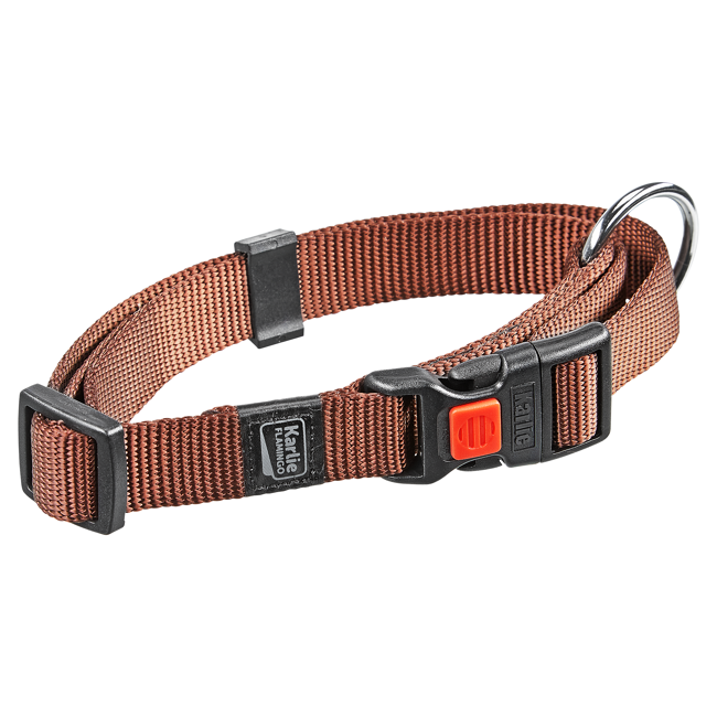 Bild von Hundehalsband \