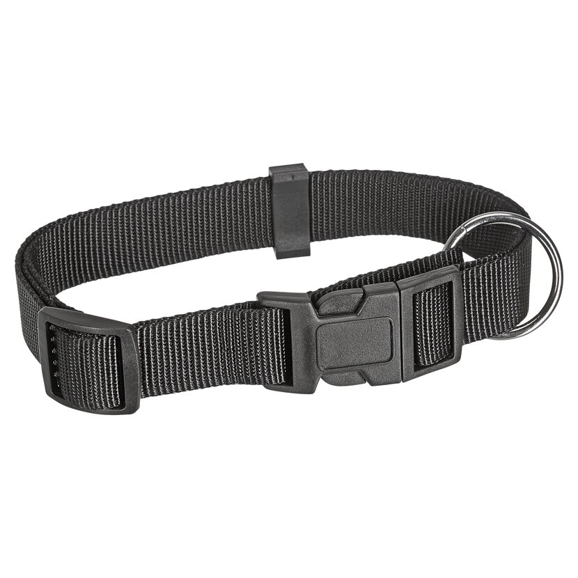 Hundehalsband 45 - 65 x 2,5 cm schwarz