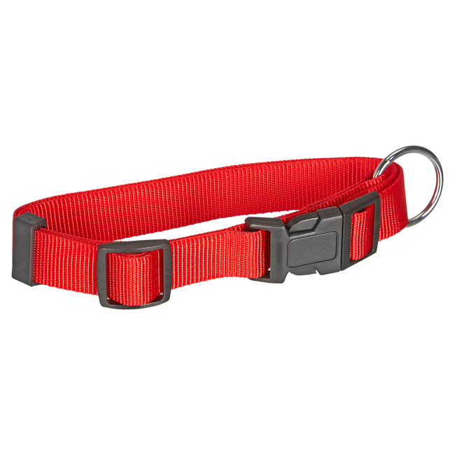 Bild von Hundehalsband \