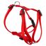 Rotes Hundegeschirr
